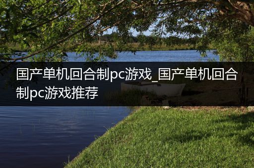 国产单机回合制pc游戏_国产单机回合制pc游戏推荐