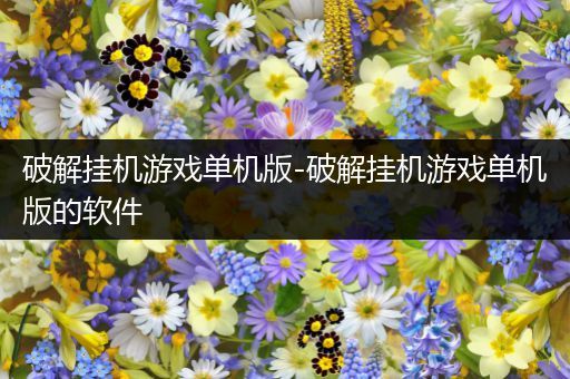 破解挂机游戏单机版-破解挂机游戏单机版的软件
