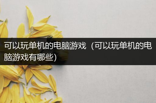 可以玩单机的电脑游戏（可以玩单机的电脑游戏有哪些）