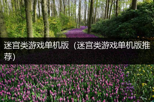 迷宫类游戏单机版（迷宫类游戏单机版推荐）