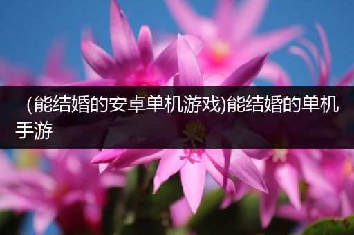 （能结婚的安卓单机游戏)能结婚的单机手游