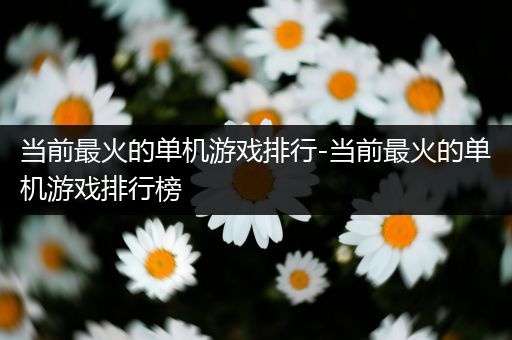 当前最火的单机游戏排行-当前最火的单机游戏排行榜