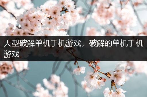 大型破解单机手机游戏，破解的单机手机游戏