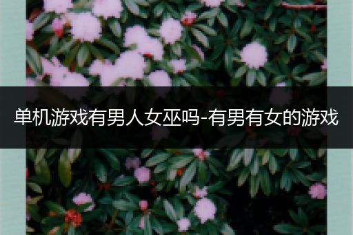 单机游戏有男人女巫吗-有男有女的游戏