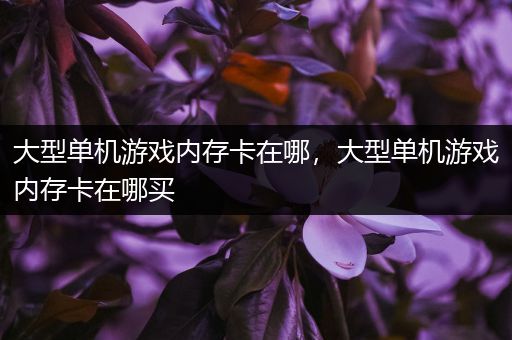 大型单机游戏内存卡在哪，大型单机游戏内存卡在哪买
