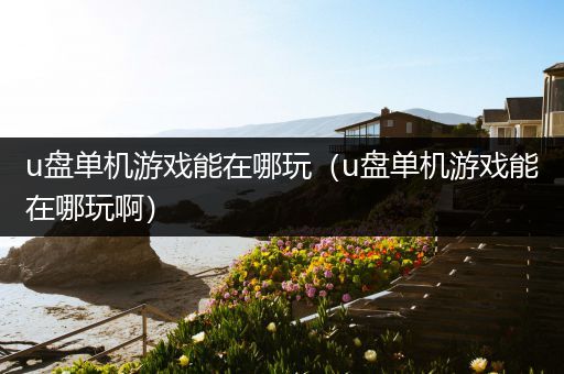 u盘单机游戏能在哪玩（u盘单机游戏能在哪玩啊）