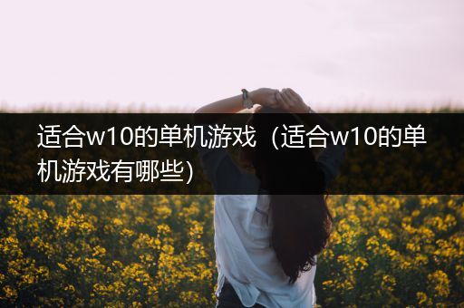 适合w10的单机游戏（适合w10的单机游戏有哪些）