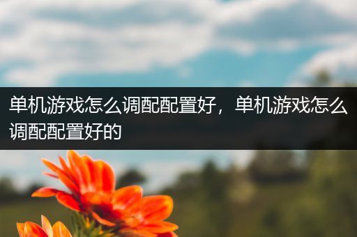 单机游戏怎么调配配置好，单机游戏怎么调配配置好的
