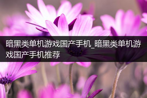 暗黑类单机游戏国产手机_暗黑类单机游戏国产手机推荐