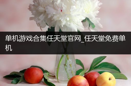 单机游戏合集任天堂官网_任天堂免费单机