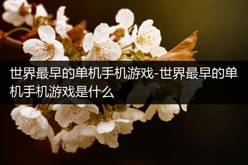 世界最早的单机手机游戏-世界最早的单机手机游戏是什么