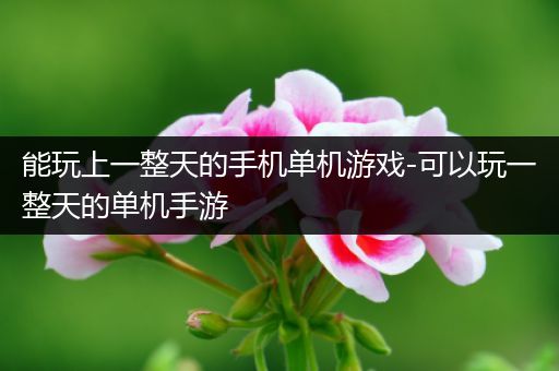 能玩上一整天的手机单机游戏-可以玩一整天的单机手游