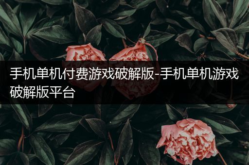 手机单机付费游戏破解版-手机单机游戏破解版平台