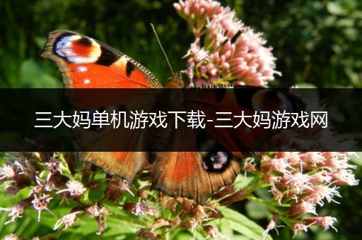 三大妈单机游戏下载-三大妈游戏网