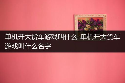 单机开大货车游戏叫什么-单机开大货车游戏叫什么名字