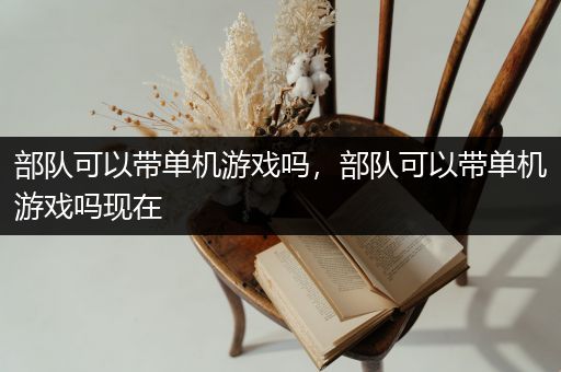 部队可以带单机游戏吗，部队可以带单机游戏吗现在