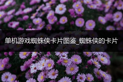 单机游戏蜘蛛侠卡片图鉴_蜘蛛侠的卡片