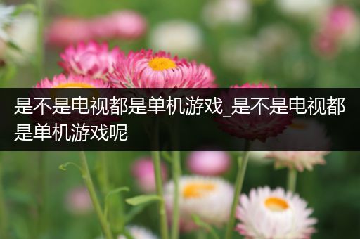 是不是电视都是单机游戏_是不是电视都是单机游戏呢