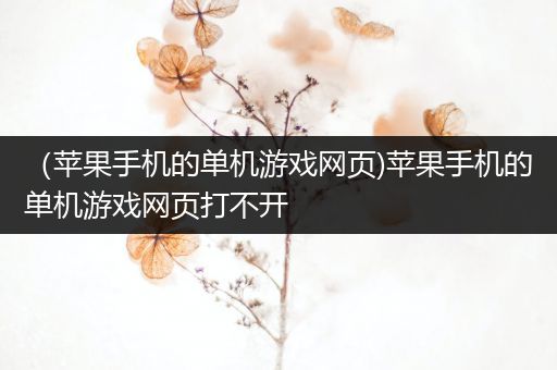 （苹果手机的单机游戏网页)苹果手机的单机游戏网页打不开