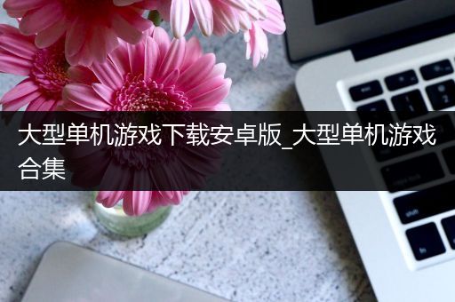 大型单机游戏下载安卓版_大型单机游戏合集