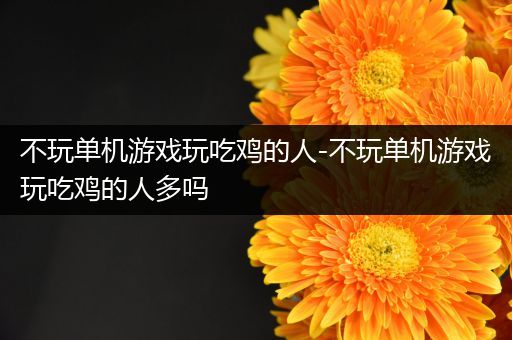 不玩单机游戏玩吃鸡的人-不玩单机游戏玩吃鸡的人多吗