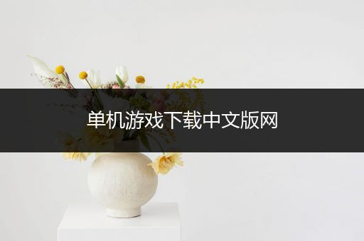 单机游戏下载中文版网