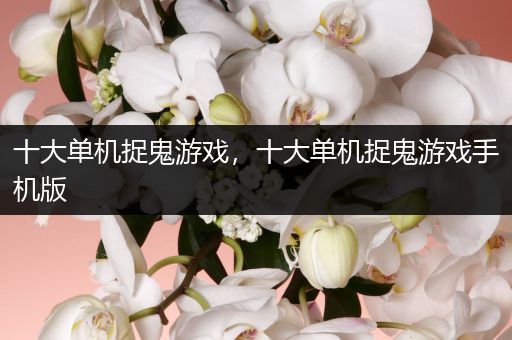 十大单机捉鬼游戏，十大单机捉鬼游戏手机版