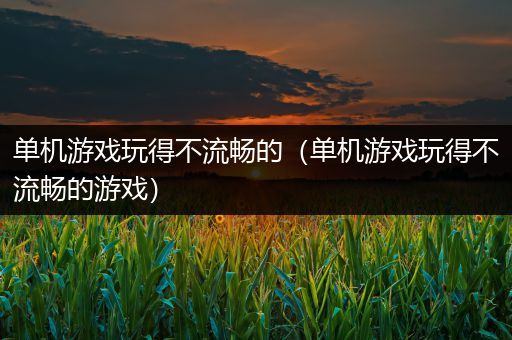 单机游戏玩得不流畅的（单机游戏玩得不流畅的游戏）