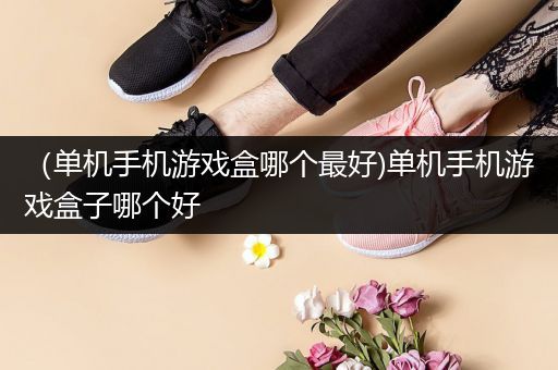 （单机手机游戏盒哪个最好)单机手机游戏盒子哪个好