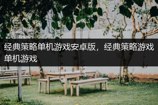 经典策略单机游戏安卓版，经典策略游戏单机游戏