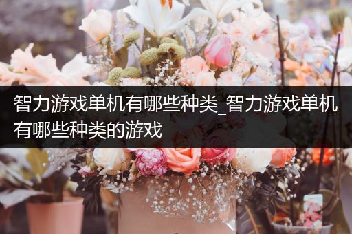 智力游戏单机有哪些种类_智力游戏单机有哪些种类的游戏