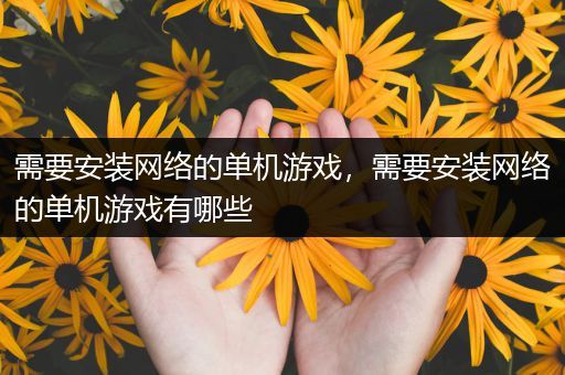 需要安装网络的单机游戏，需要安装网络的单机游戏有哪些