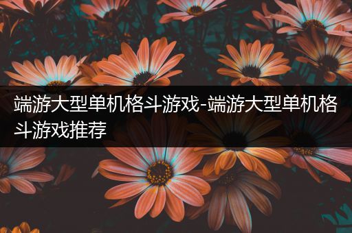 端游大型单机格斗游戏-端游大型单机格斗游戏推荐