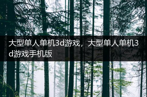 大型单人单机3d游戏，大型单人单机3d游戏手机版