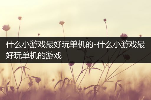 什么小游戏最好玩单机的-什么小游戏最好玩单机的游戏