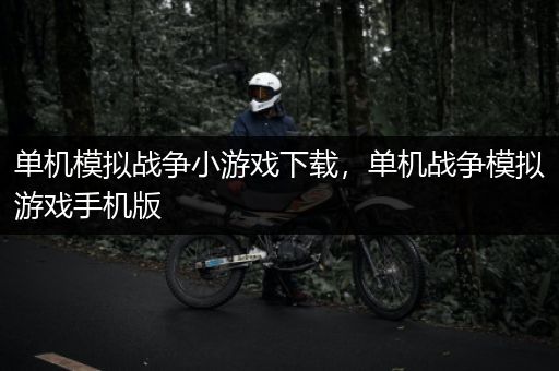 单机模拟战争小游戏下载，单机战争模拟游戏手机版