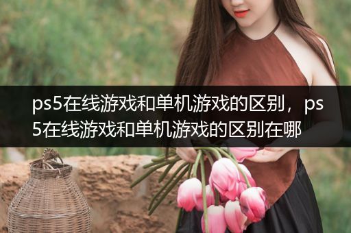 ps5在线游戏和单机游戏的区别，ps5在线游戏和单机游戏的区别在哪