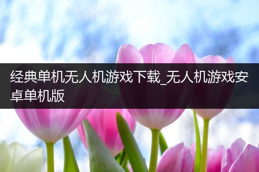 经典单机无人机游戏下载_无人机游戏安卓单机版