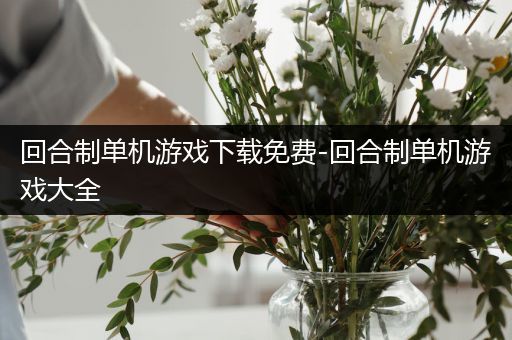 回合制单机游戏下载免费-回合制单机游戏大全