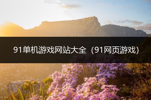 91单机游戏网站大全（91网页游戏）