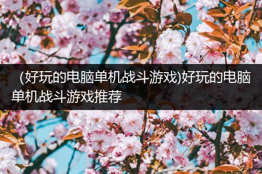 （好玩的电脑单机战斗游戏)好玩的电脑单机战斗游戏推荐