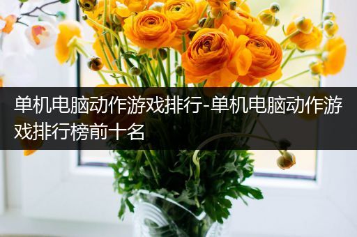 单机电脑动作游戏排行-单机电脑动作游戏排行榜前十名