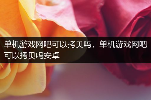 单机游戏网吧可以拷贝吗，单机游戏网吧可以拷贝吗安卓