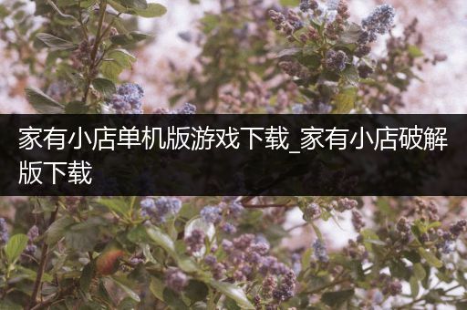 家有小店单机版游戏下载_家有小店破解版下载