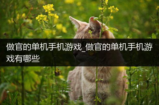 做官的单机手机游戏_做官的单机手机游戏有哪些