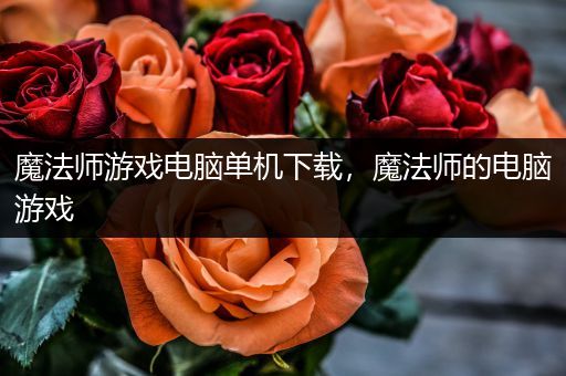 魔法师游戏电脑单机下载，魔法师的电脑游戏
