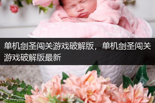 单机剑圣闯关游戏破解版，单机剑圣闯关游戏破解版最新