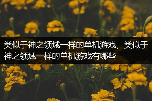 类似于神之领域一样的单机游戏，类似于神之领域一样的单机游戏有哪些