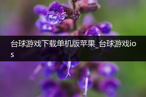 台球游戏下载单机版苹果_台球游戏ios