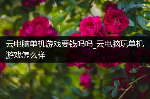 云电脑单机游戏要钱吗吗_云电脑玩单机游戏怎么样